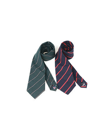 2sasun stripe necktie (2 color)